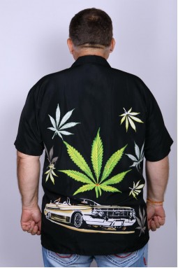 Рубашка мужская KNU-foto2