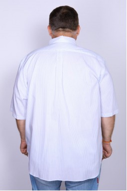 Рубашка мужская Nautica WR1242-foto2