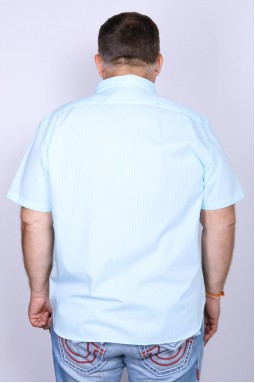 Рубашка мужская Nautica WR6477-foto2