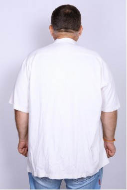 Рубашка мужская Tommy Bahama T311873-foto2